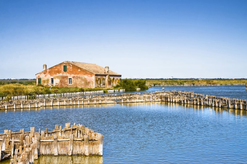 VALLI DI COMACCHIO ed escursioni nel Delta del PO