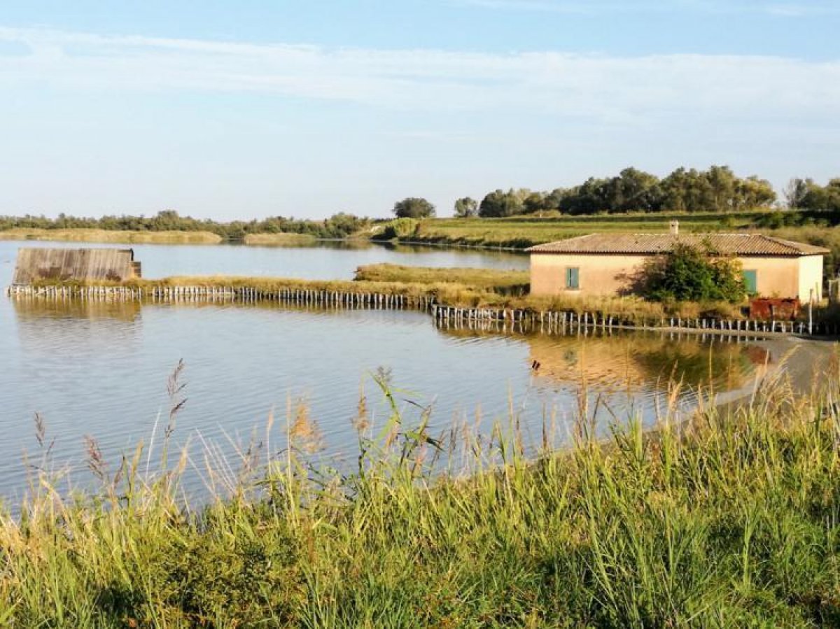 percorsi in bicicletta lidi di comacchio