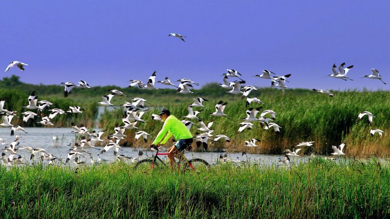 Escursioni in bicicletta