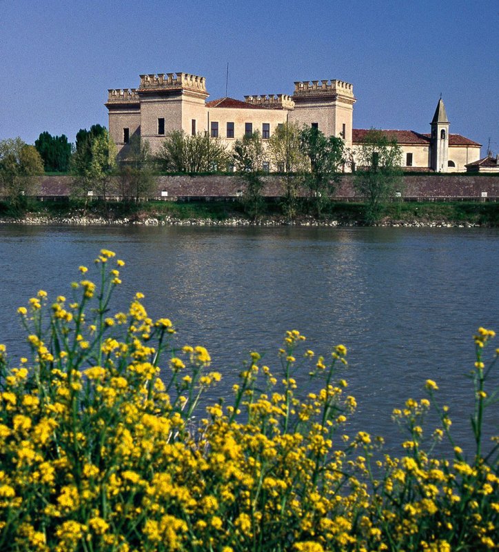 Mesola Il Castello - Il Boscone della Mesola